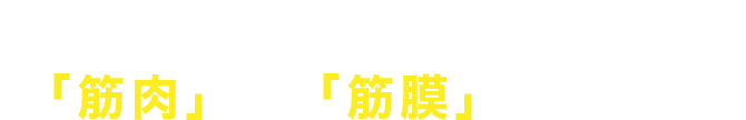 痛みの回復を図る「筋肉」と「筋膜」の柔軟性